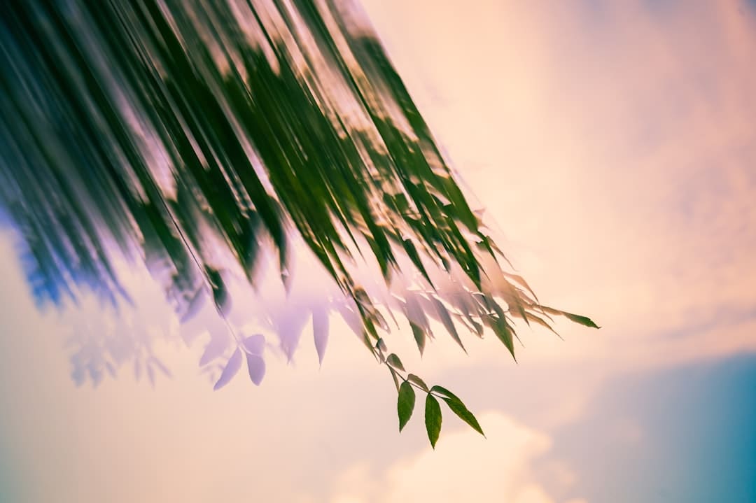 泰柬签署协议敲定停火细则 联合国秘书长欣赏两边尽力